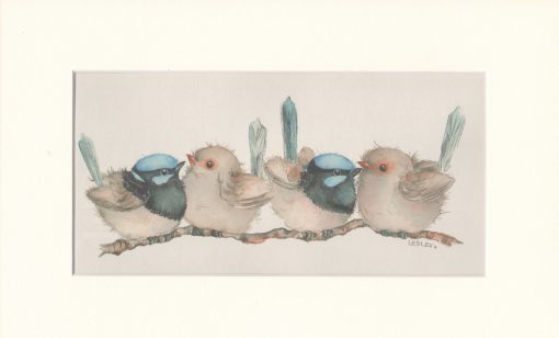 Blue Wrens Print Medium