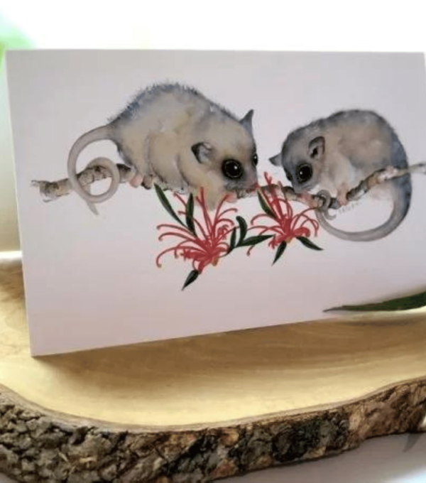 Possum Greeting Card