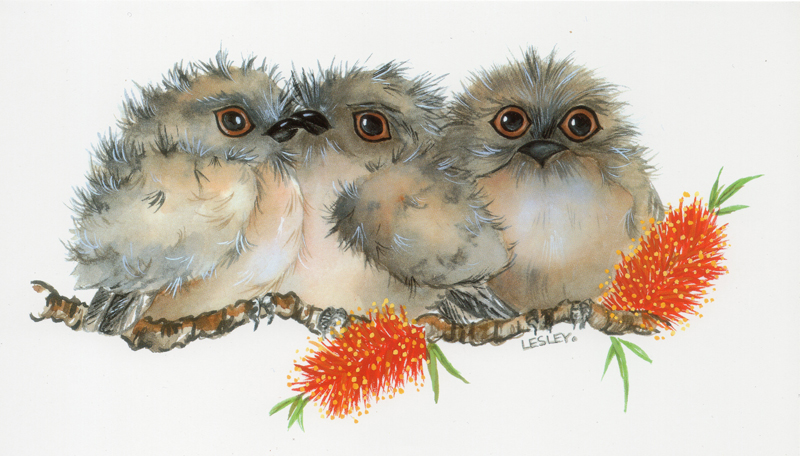 Tawny Frogmouth Chicks Greeting Card
