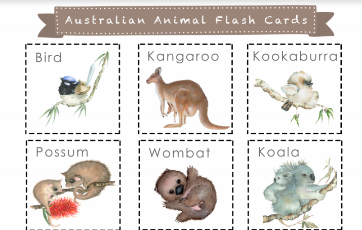 FREE Animal Flash Cards - Bush Babies Downunder