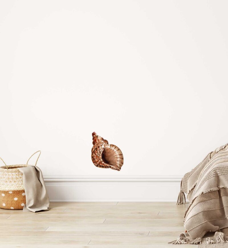 Conch Shell Wall Decal